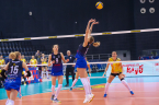 D4S_3416.jpg