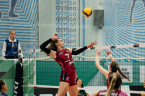 DSC00446.jpg